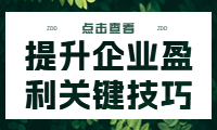 經(jīng)營(yíng)賬講解：提升企業(yè)盈利的關(guān)鍵技巧